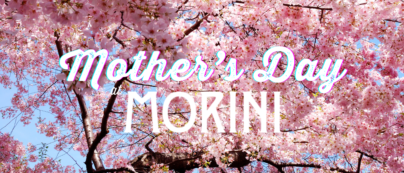 Mother's Day at OMDC